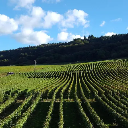 Am Weingarten 恩斯特