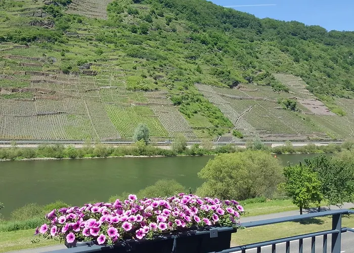 Apartment Am Weingarten